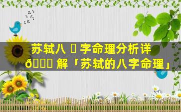 苏轼八 ☘ 字命理分析详 🐒 解「苏轼的八字命理」